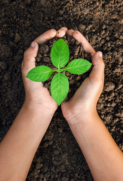 Sustainable Gardening Practices embracing methods blog